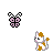 Cats icon graphics