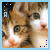 Cats icon graphics