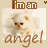 Cats icon graphics
