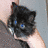Cats icon graphics