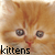 Cats icon graphics