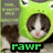 Cats icon graphics