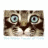 Cats icon graphics