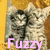 Cats icon graphics