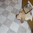 Cats icon graphics