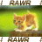 Cats icon graphics