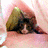 Cats icon graphics