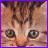 Cats icon graphics