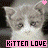 Cats icon graphics