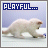 Cats icon graphics