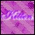 Cats icon graphics