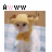 Cats icon graphics