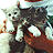 Cats icon graphics