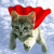 Cats icon graphics