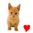 Cats icon graphics