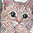 Cats icon graphics