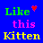 Cats icon graphics