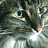Cats icon graphics
