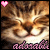 Cats icon graphics
