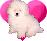 Cats icon graphics
