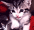 Cats icon graphics