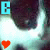 Cats icon graphics
