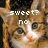 Cats icon graphics