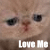 Cats icon graphics