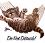 Cats icon graphics