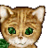 Cats icon graphics