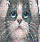 Cats icon graphics