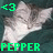 Cats icon graphics
