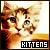 Cats icon graphics