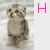 Cats icon graphics