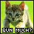 Cats icon graphics