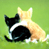 Cats icon graphics