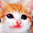 Cats icon graphics