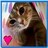 Cats icon graphics