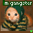 Cats icon graphics