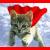 Cats icon graphics