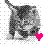 Cats icon graphics