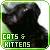 Cats icon graphics