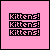 Cats icon graphics