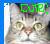 Cats icon graphics