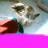 Cats icon graphics