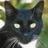 Cats icon graphics
