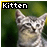 Cats icon graphics