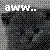 Cats icon graphics