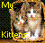 Cats icon graphics