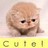 Cats icon graphics